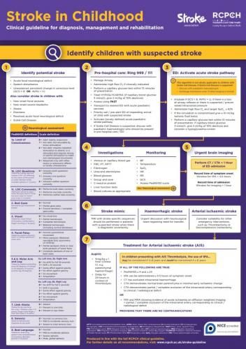 Stroke in childhood - clinical guideline for diagnosis ...