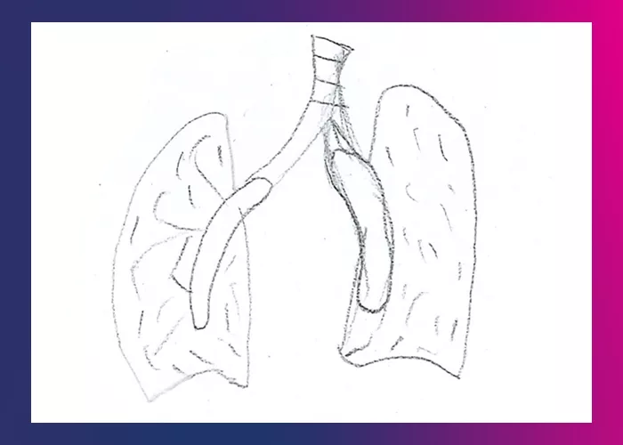 Illustration: Lungs