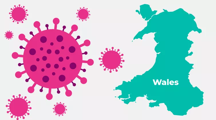 Graphic of the flu virus, with outline map of Wales