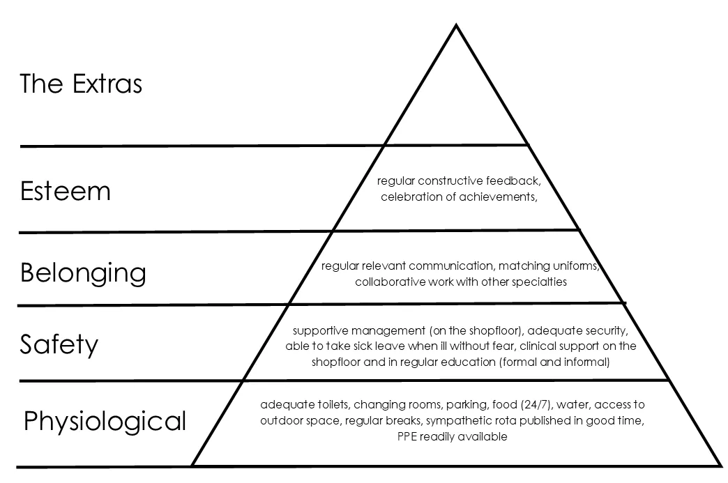 Iain Beardsell, "St Emlyn’s Hierarchy of Wellbeing" 