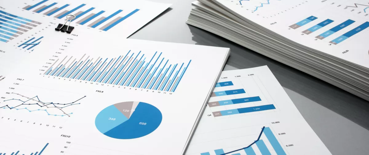 Reports with pie charts and bar graphs