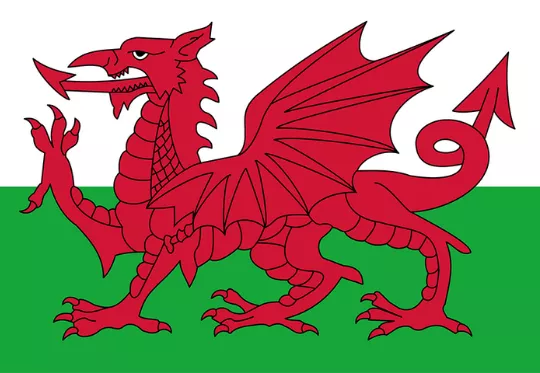 Wales flag - red dragon on green and white background