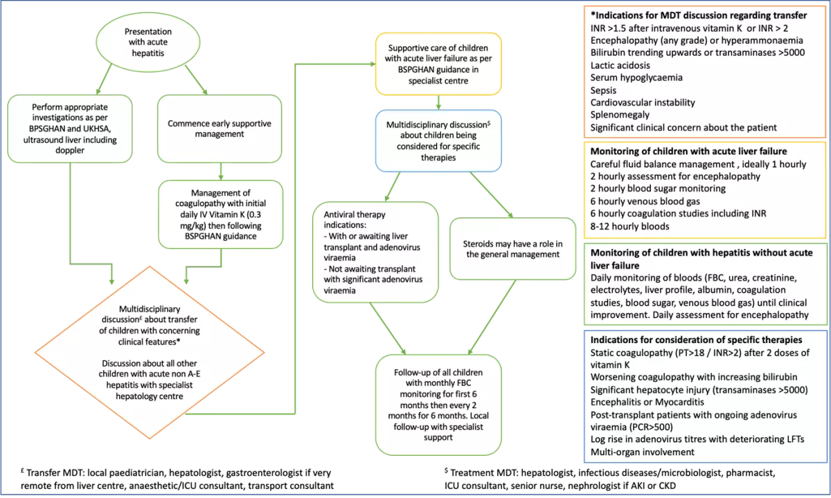 Flow diagram of recommended framework of care for early investigation and management of children with acute non-A-E hepatitis, with and without liver failure