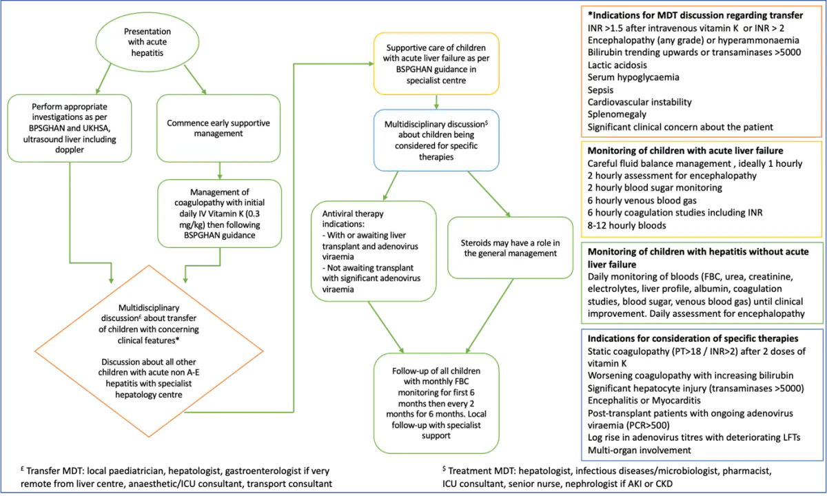 Flow diagram of recommended framework of care Flow diagram of recommended framework of care for early investigation and management of children with acute non-A-E hepatitis, with and without liver failure