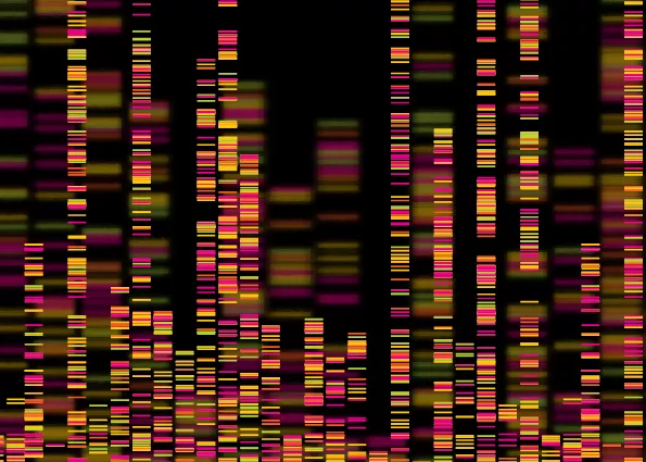 Blocks of colour on dark background - visualisation of genomics