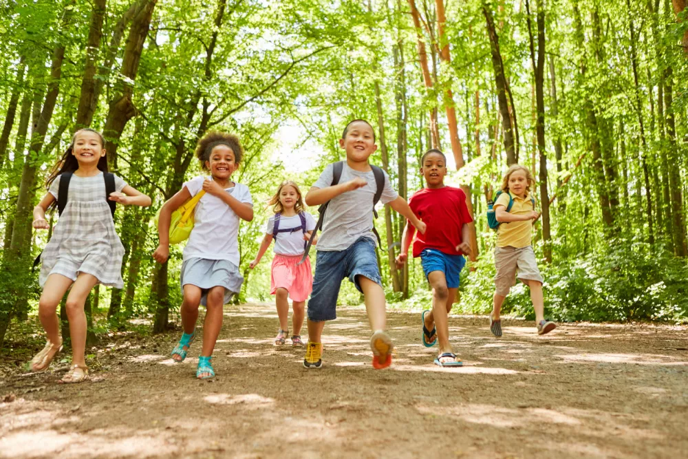 Children running through a grove of trees, with dappled sunlight