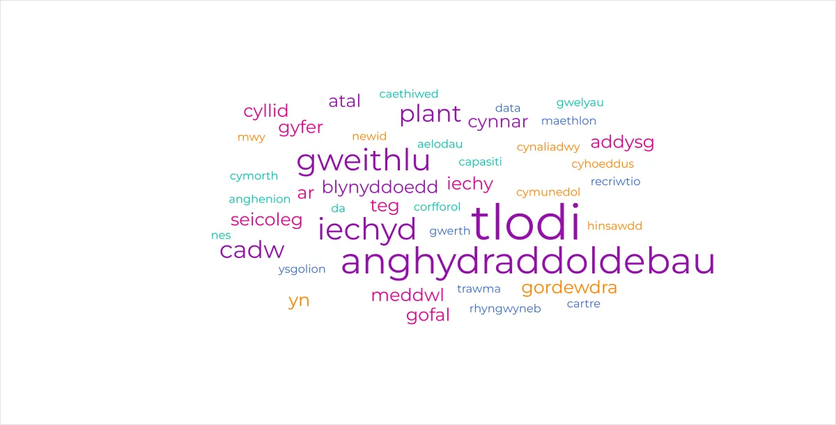 Wordcloud in Welsh