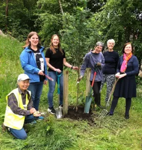 what can a tree teach 3