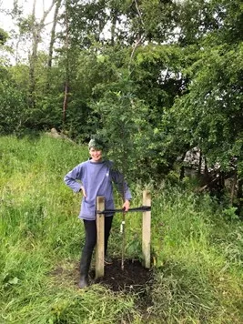 what can a tree teach 4