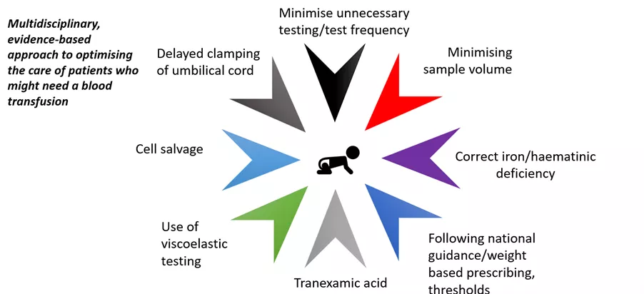Example of Patient Blood Management strategies in neonates/infants and children