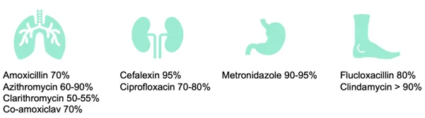 Infographic of lungs, kidneys, stomach and foot with percentages. From EMC and cross checked against UKHSA IVOS guidance.
